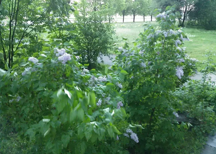 A Comfortable Room With Balcony * Reval