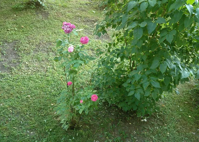 A Comfortable With Balcony Apartmán