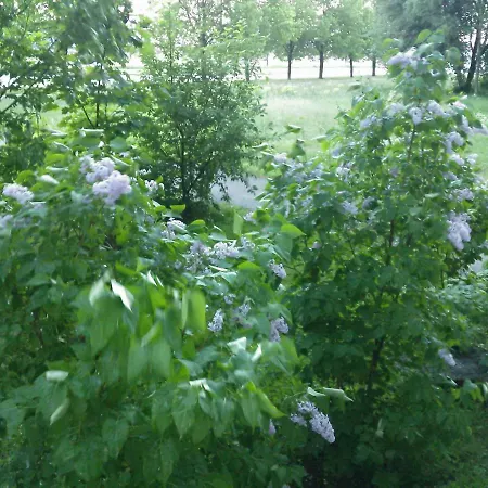 A Comfortable With Balcony * Tallinn